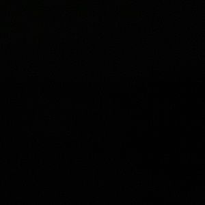 Meet your Posher, Randy