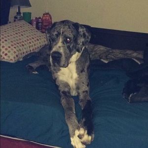 Meet your Posher, Lorann