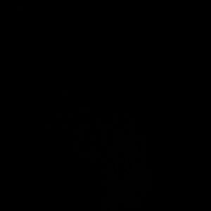 Meet your Posher, Wanya