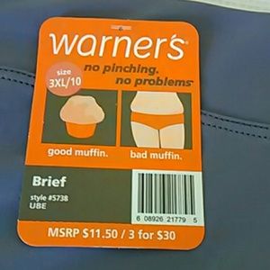 Warners Intimates & Sleepwear - No Pinch Plus Size Panties Bundle Pack Warners Intimates & Sleepwear - No Pinch Plus Size Panties Bundle Pack