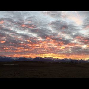 Meet your Posher, Rose