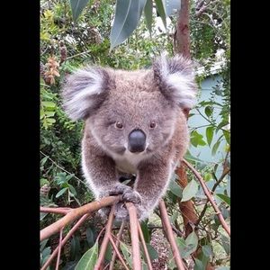 Meet your Posher, Lindsey