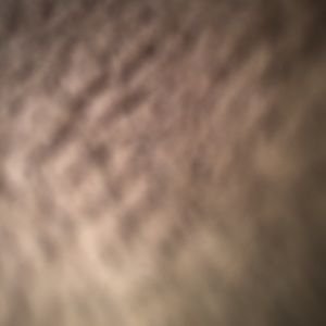 Meet your Posher, Mason