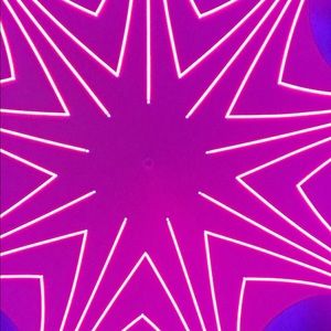 Meet your Posher, Evie