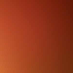 THANKSGIVING/BLACK FRIDAY SPECIAL