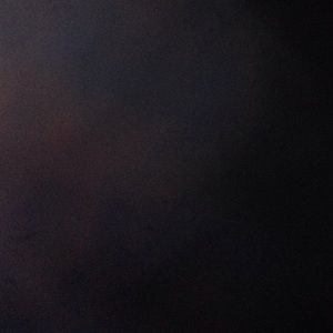 Meet your Posher, Bailey