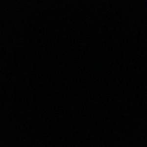 Meet your Posher, Peyton