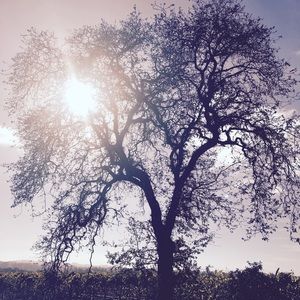 Meet your Posher, Kara