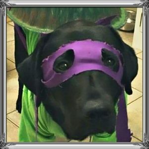 Meet your Posher, Robert