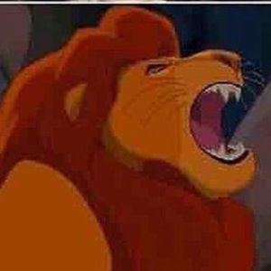 Meet your Posher, Andres