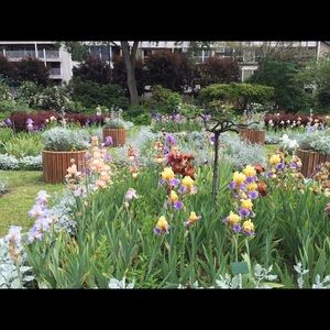 Meet your Posher, Dianne