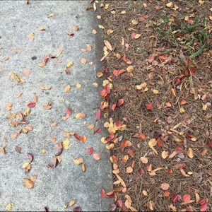 Meet your Posher, Sang hee