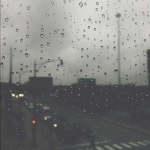 Meet your Posher, Allie