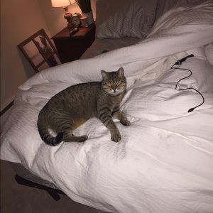 Meet your Posher, Nicole