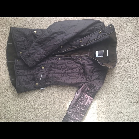 Chocolate Brown Pantone Barbour
