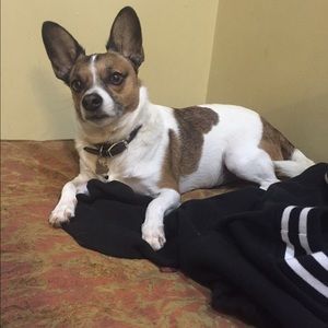 Meet your Posher, Jenna