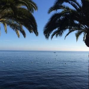 Meet your Posher, Alicia