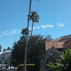 Meet your Posher, Joanie