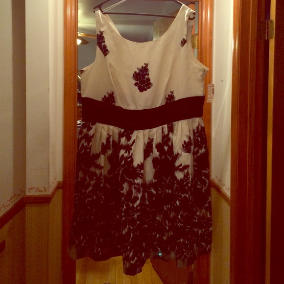 20W Black and white Dressbarn dress NWT