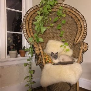 Meet your Posher, Mitchell