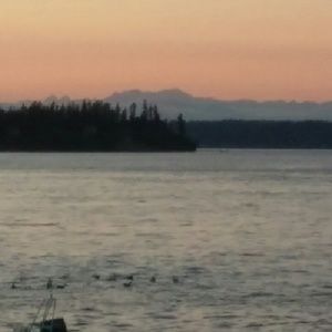 Meet your Posher, Isabelle