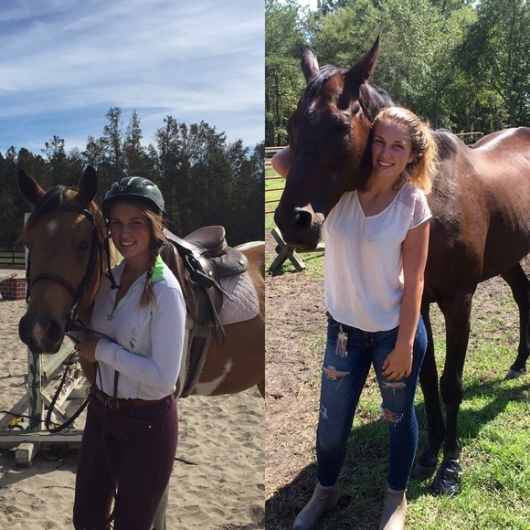ISO Horse & Cob supplies!