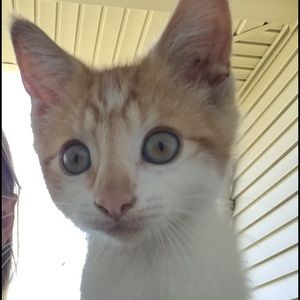 Meet your Posher, Ellie