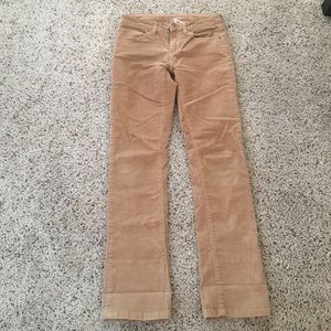 Size 25 Tan Patagonia Corduroy Pant