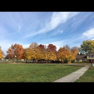 Meet your Posher, Renee