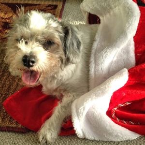 Meet your Posher, Tara