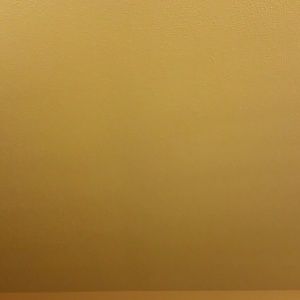 Meet your Posher, Terry