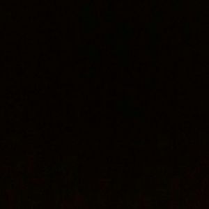 Meet your Posher, Danisia