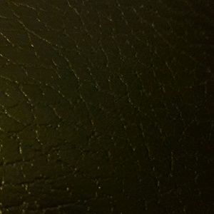 Meet your Posher, Dario