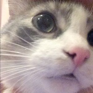 Meet your Posher, Kasi