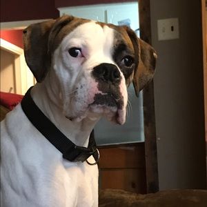 Meet your Posher, Jon