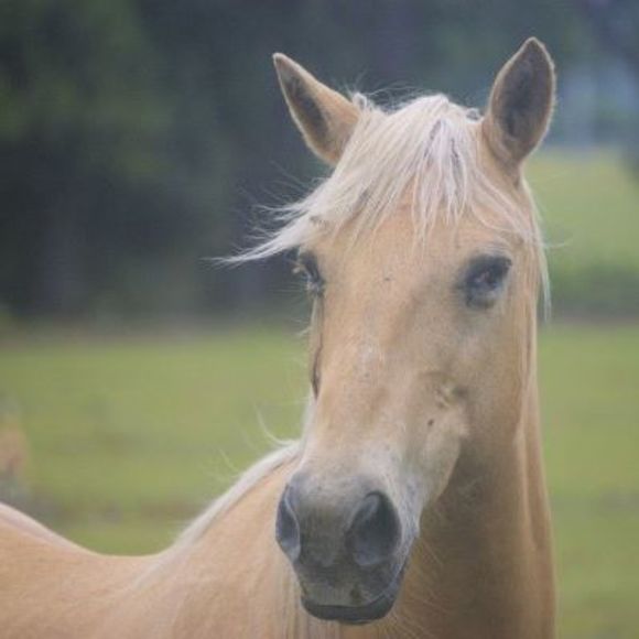 Meet your Posher, Brenda