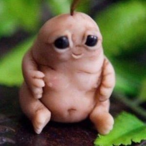 Meet your Posher, Lexi