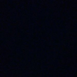 Meet your Posher, Sammy