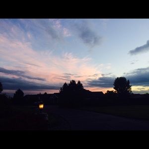 Meet your Posher, Audrey