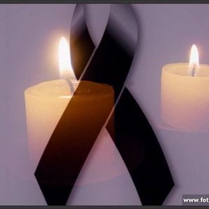 Meet your Posher, Victor