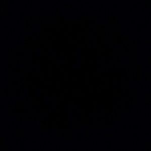 Meet your Posher, Hunter