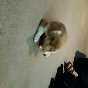 Meet your Posher, Beverly