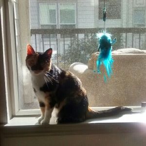 Meet your Posher, Sherrylynn