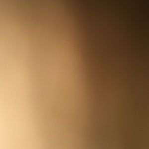 Meet your Posher, Shane