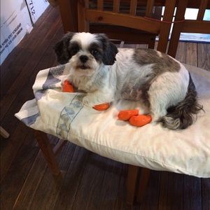 Meet your Posher, Candace