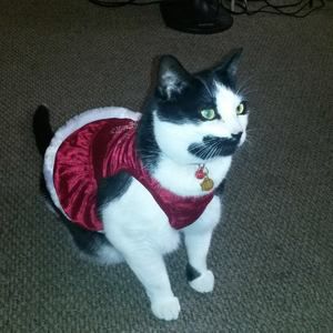 Meet your Posher, Loretta