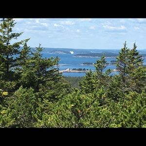 Meet your Posher, Cristina