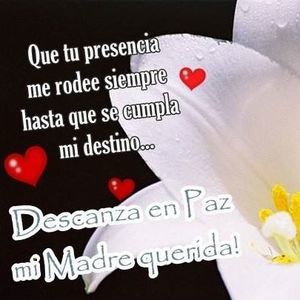 Meet your Posher, Antonio