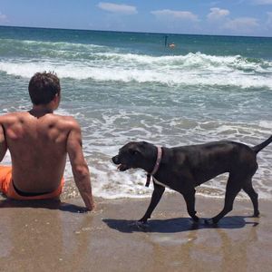 Meet your Posher, Dillon