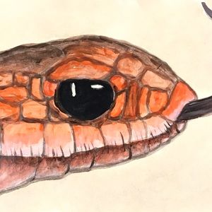 Meet your Posher, Bill